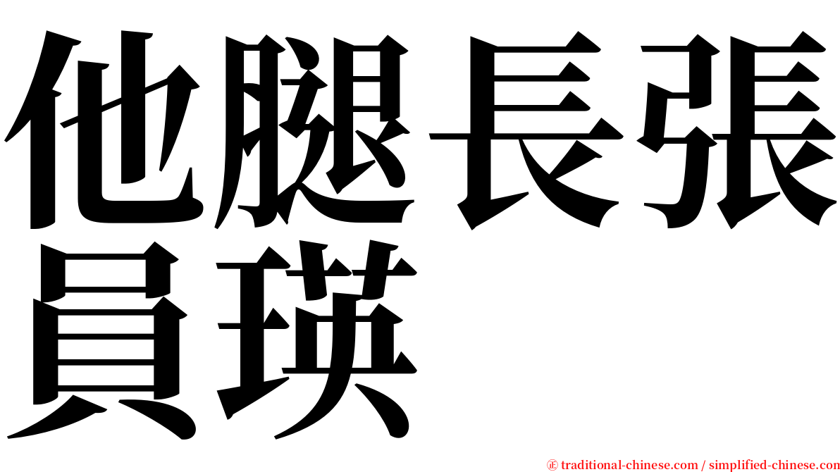 他腿長張員瑛 serif font
