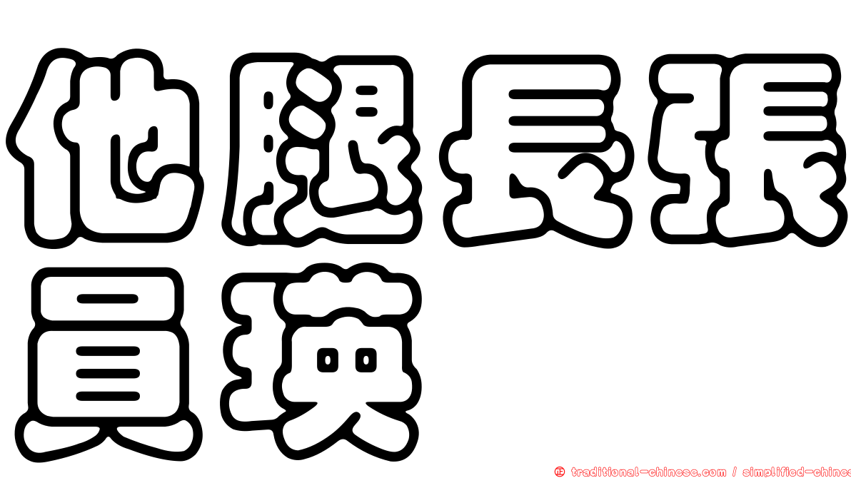 他腿長張員瑛