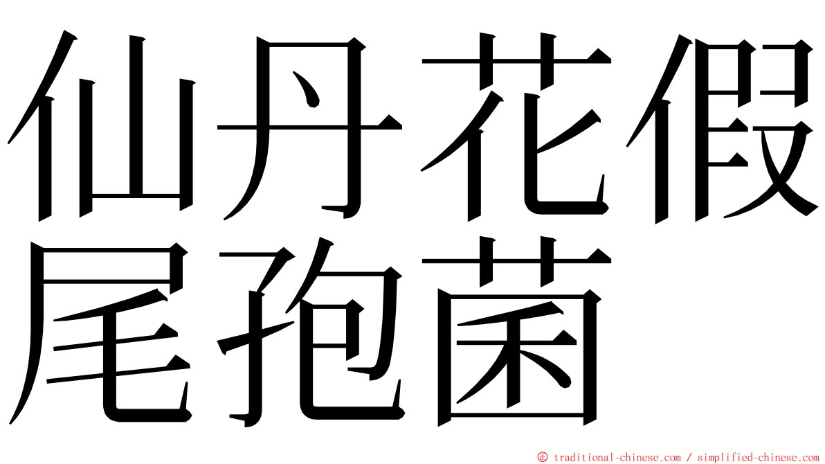 仙丹花假尾孢菌 ming font