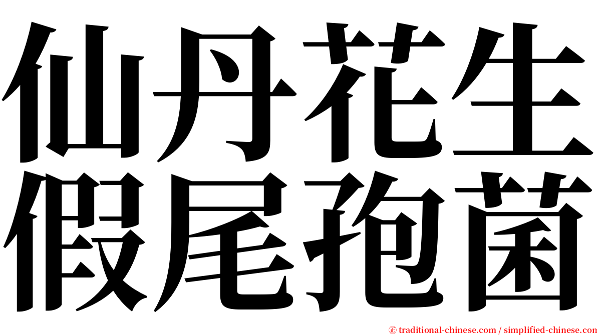 仙丹花生假尾孢菌 serif font