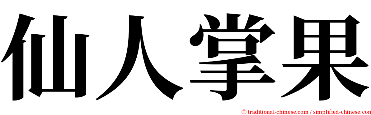 仙人掌果 serif font