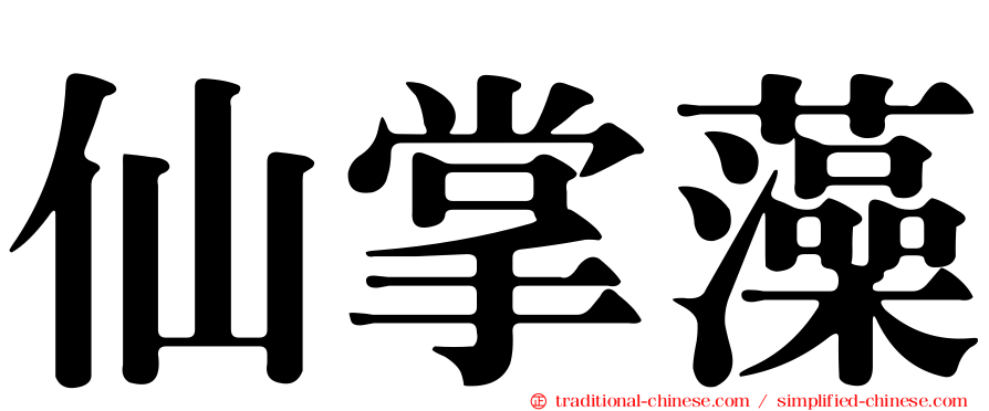 仙掌藻