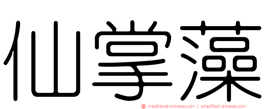 仙掌藻