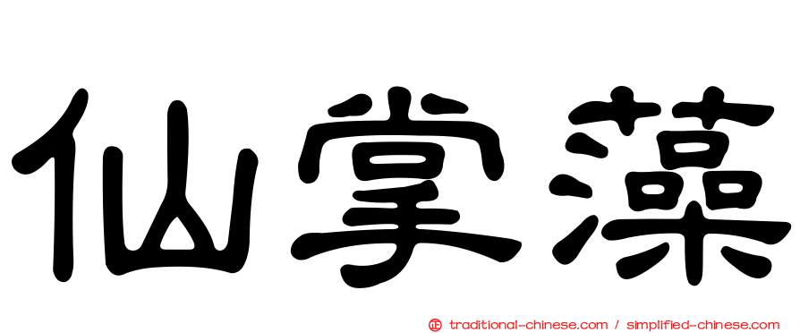 仙掌藻