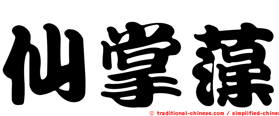 仙掌藻