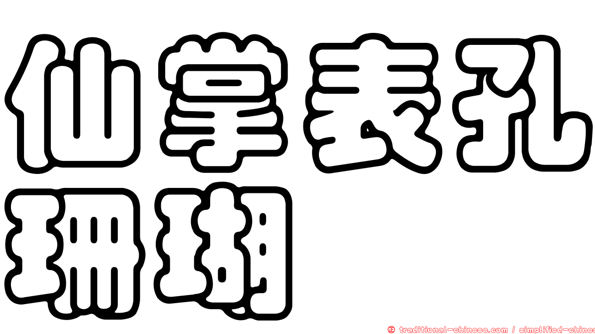 仙掌表孔珊瑚
