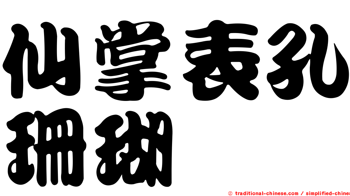 仙掌表孔珊瑚