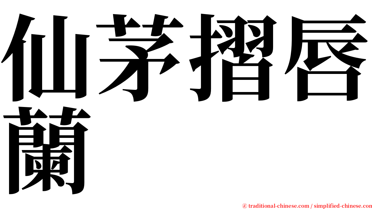 仙茅摺唇蘭 serif font