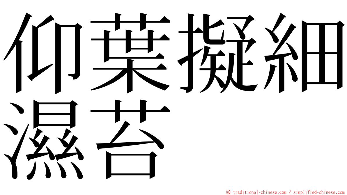 仰葉擬細濕苔 ming font