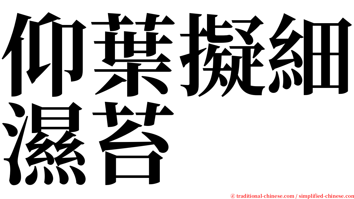 仰葉擬細濕苔 serif font