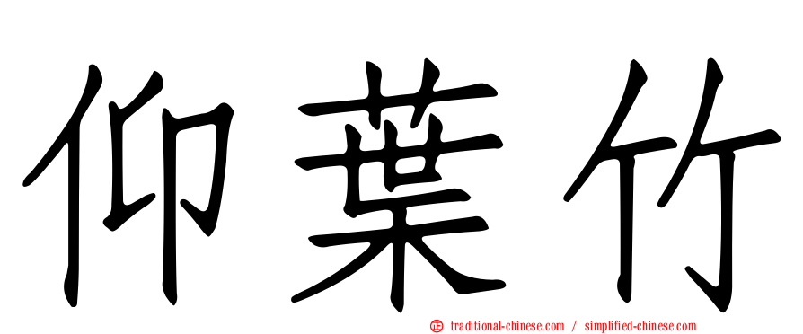 仰葉竹