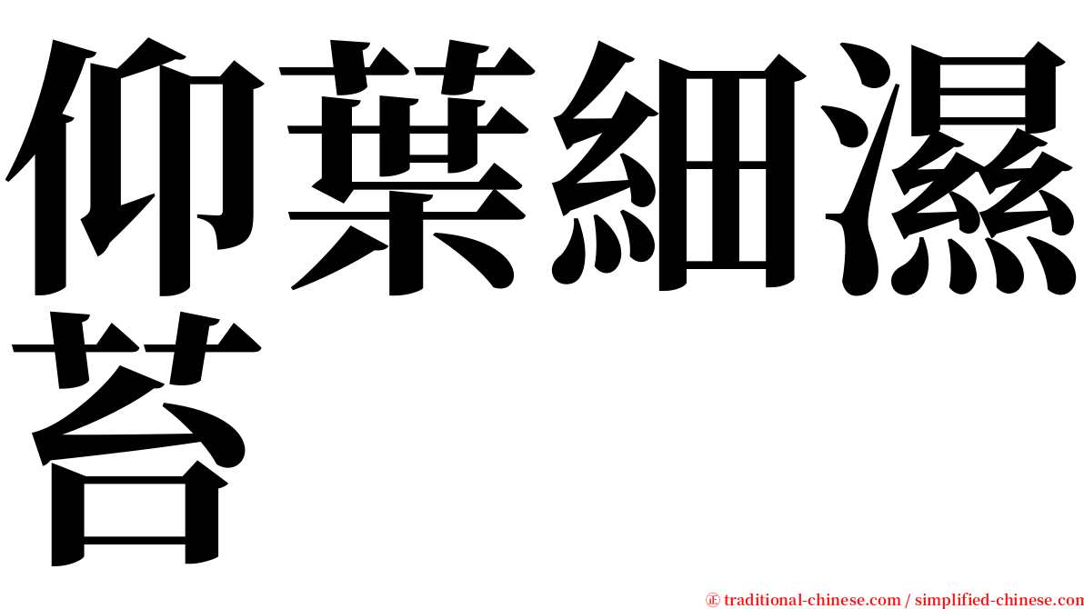 仰葉細濕苔 serif font