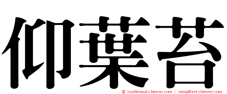 仰葉苔