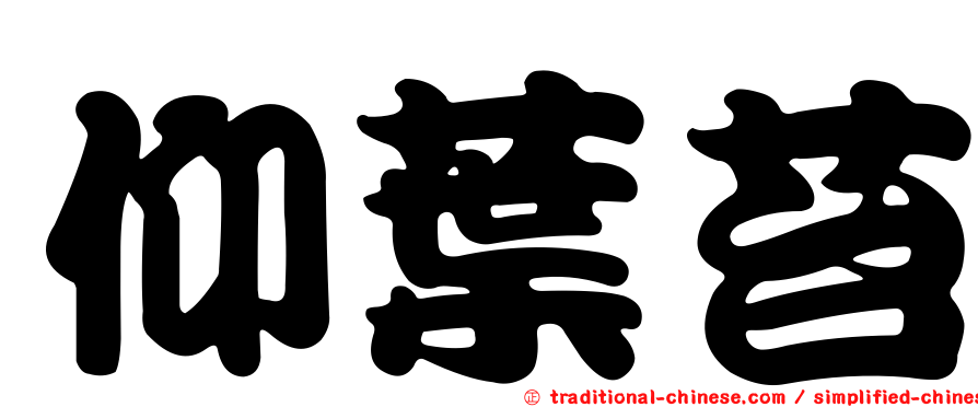 仰葉苔