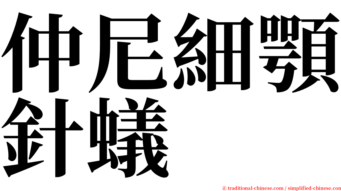 仲尼細顎針蟻 serif font