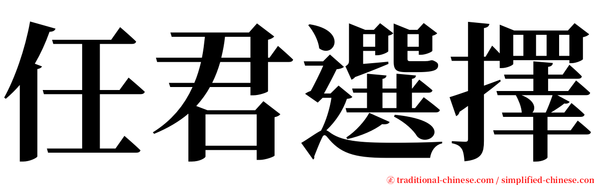 任君選擇 serif font