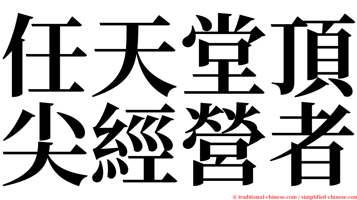 任天堂頂尖經營者 serif font