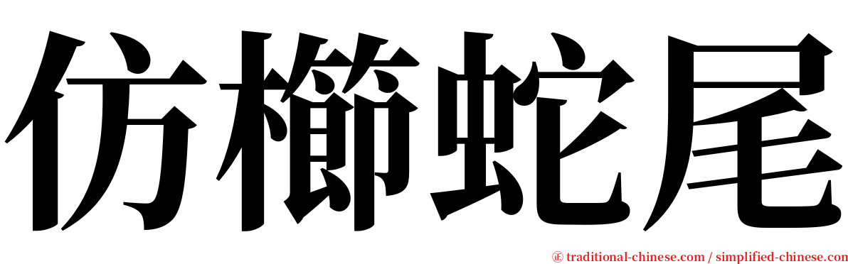 仿櫛蛇尾 serif font