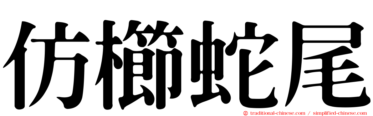 仿櫛蛇尾