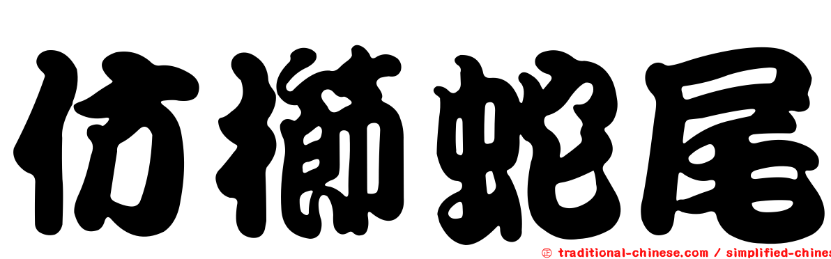 仿櫛蛇尾