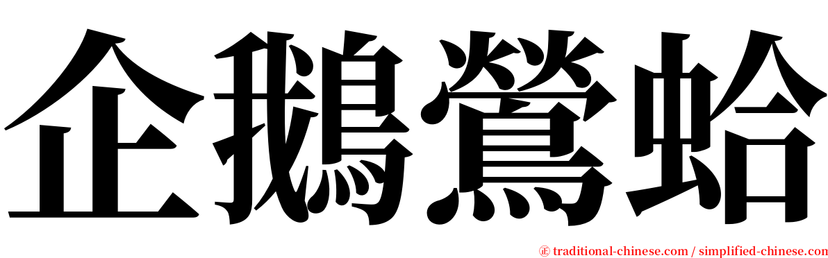 企鵝鶯蛤 serif font