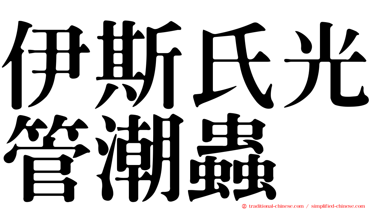 伊斯氏光管潮蟲