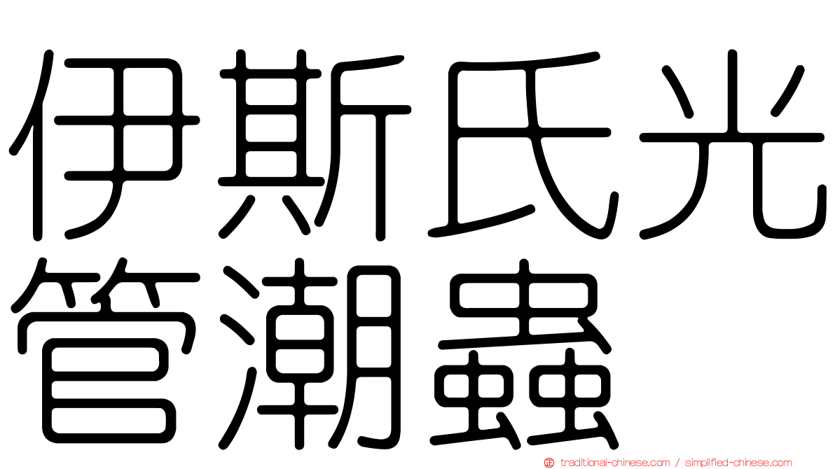 伊斯氏光管潮蟲