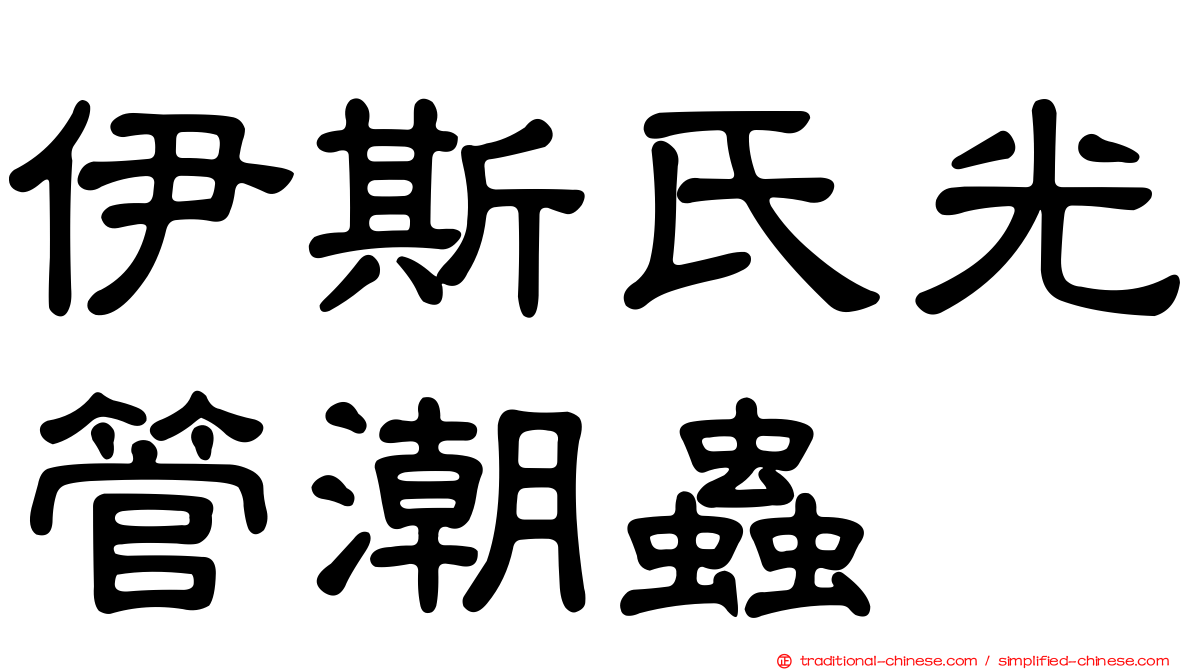 伊斯氏光管潮蟲