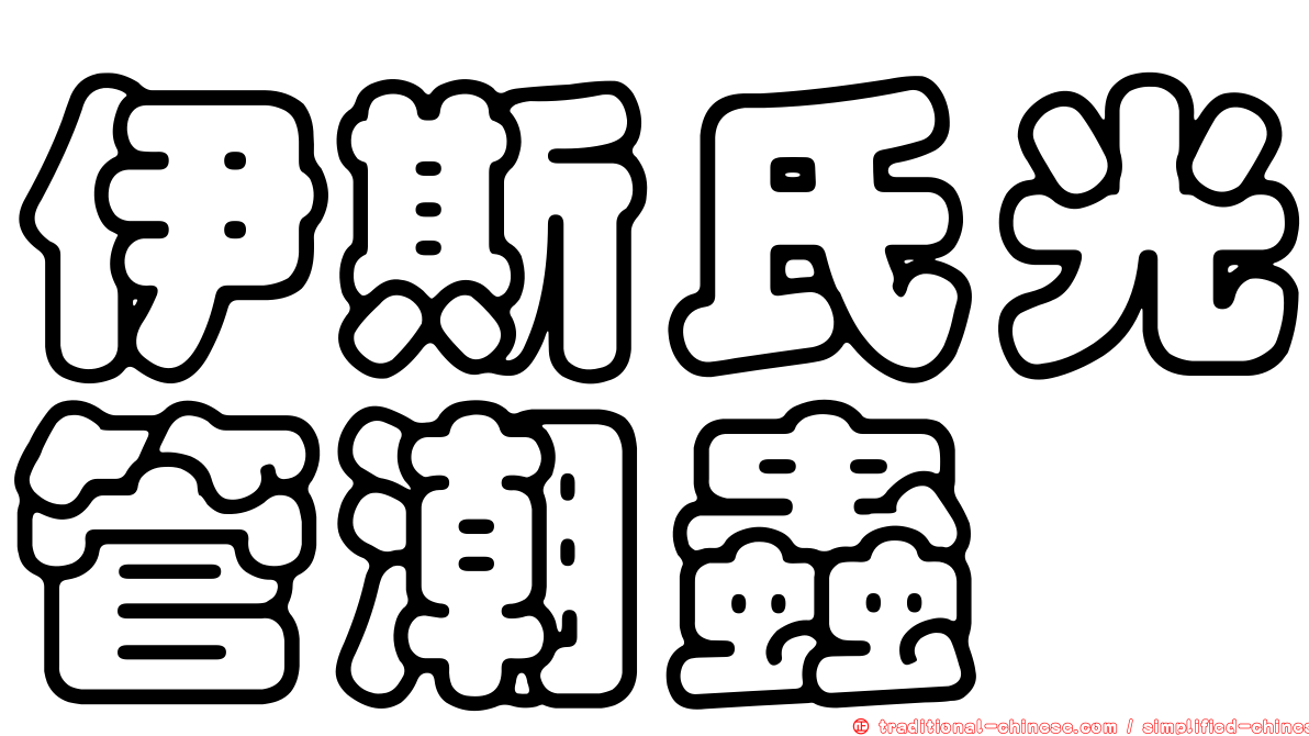伊斯氏光管潮蟲