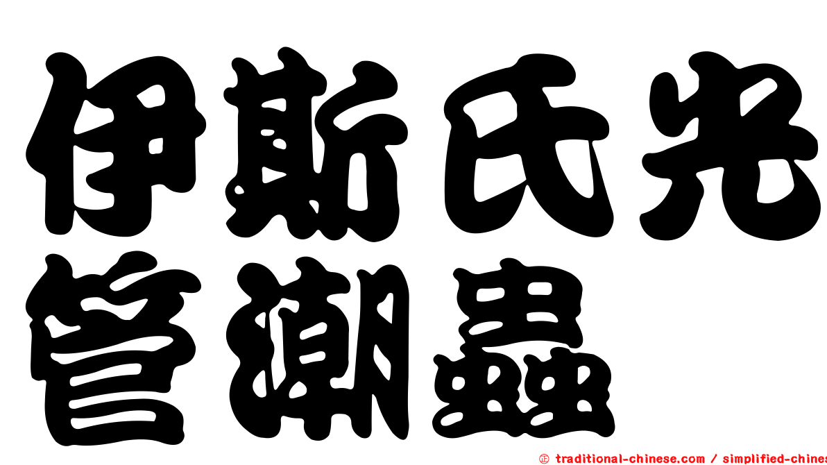 伊斯氏光管潮蟲