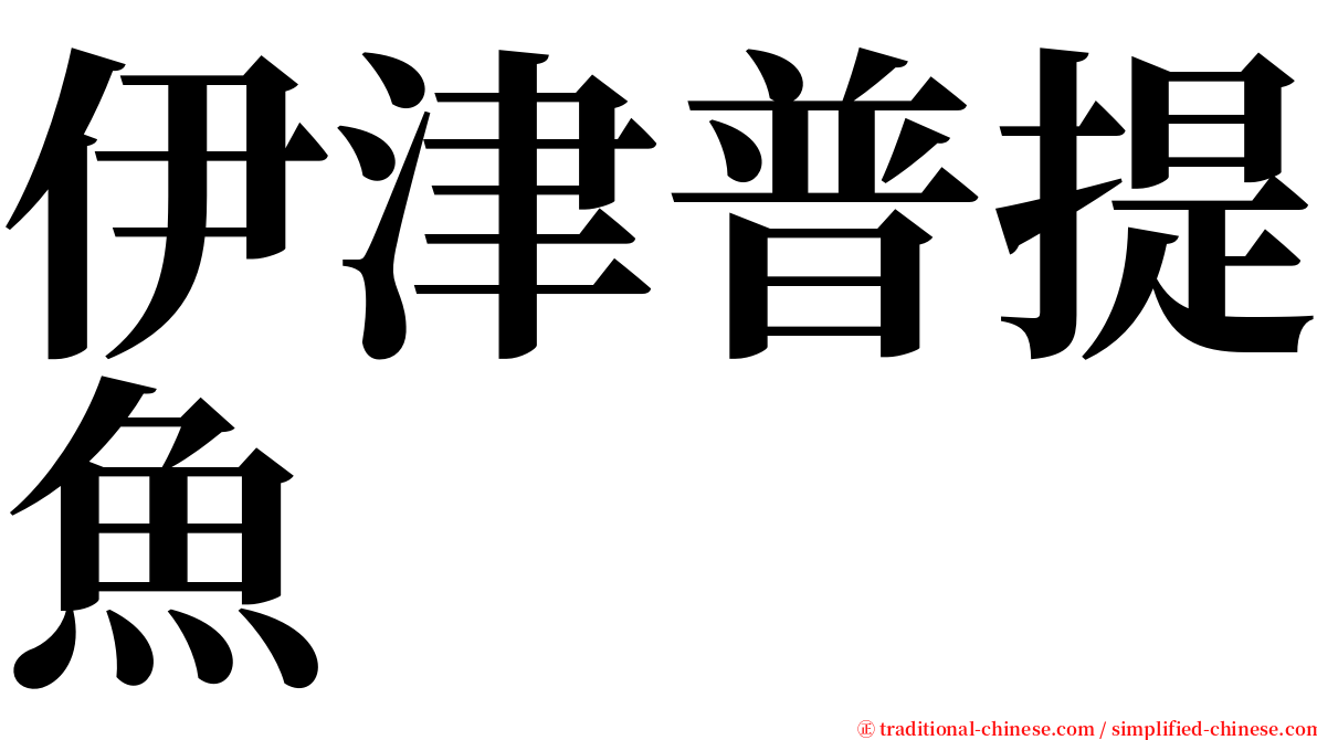 伊津普提魚 serif font