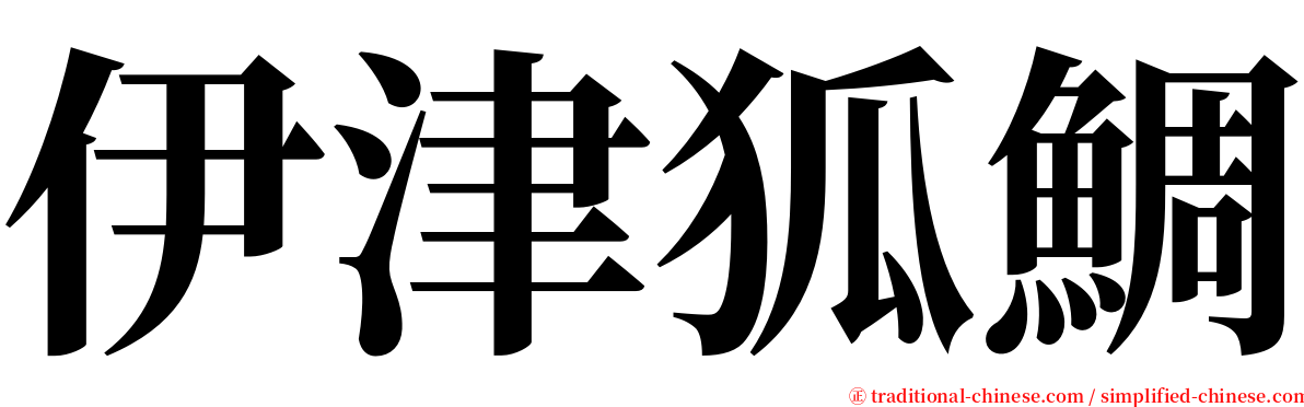 伊津狐鯛 serif font