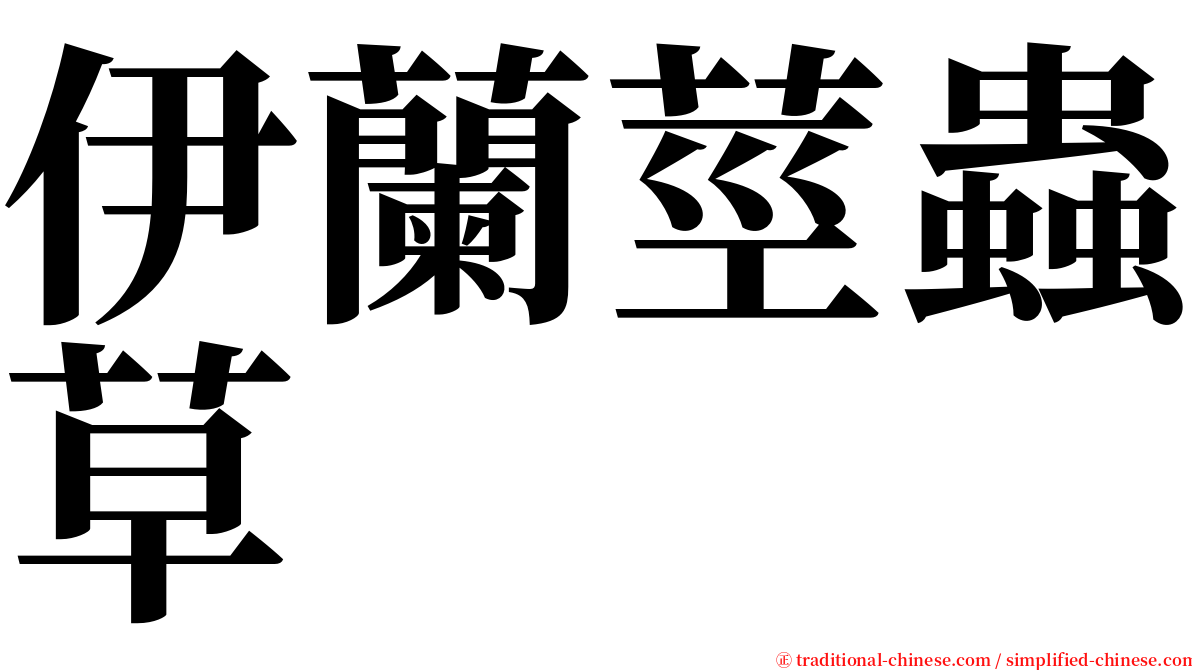 伊蘭莖蟲草 serif font