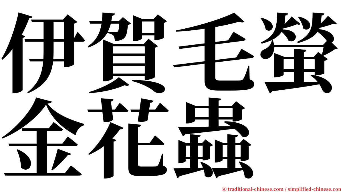 伊賀毛螢金花蟲 serif font