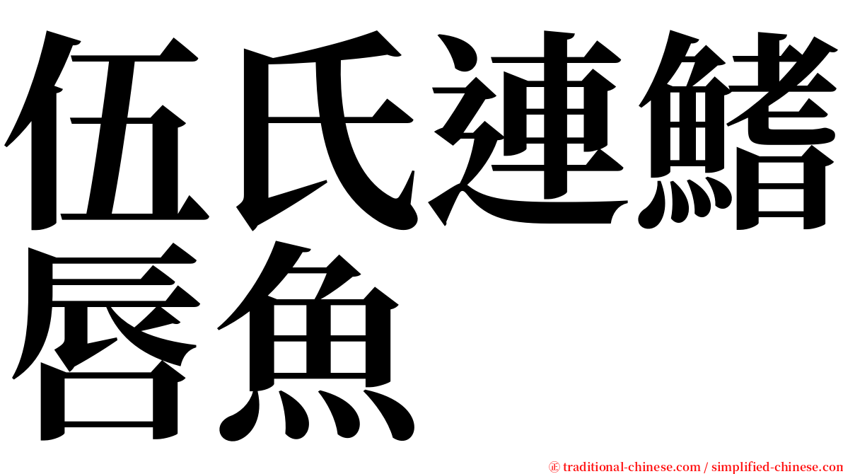 伍氏連鰭唇魚 serif font