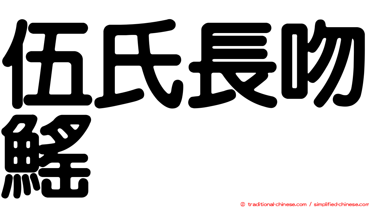 伍氏長吻鰩