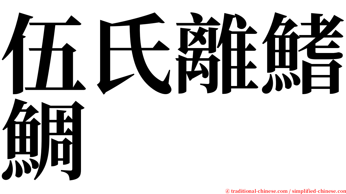 伍氏離鰭鯛 serif font