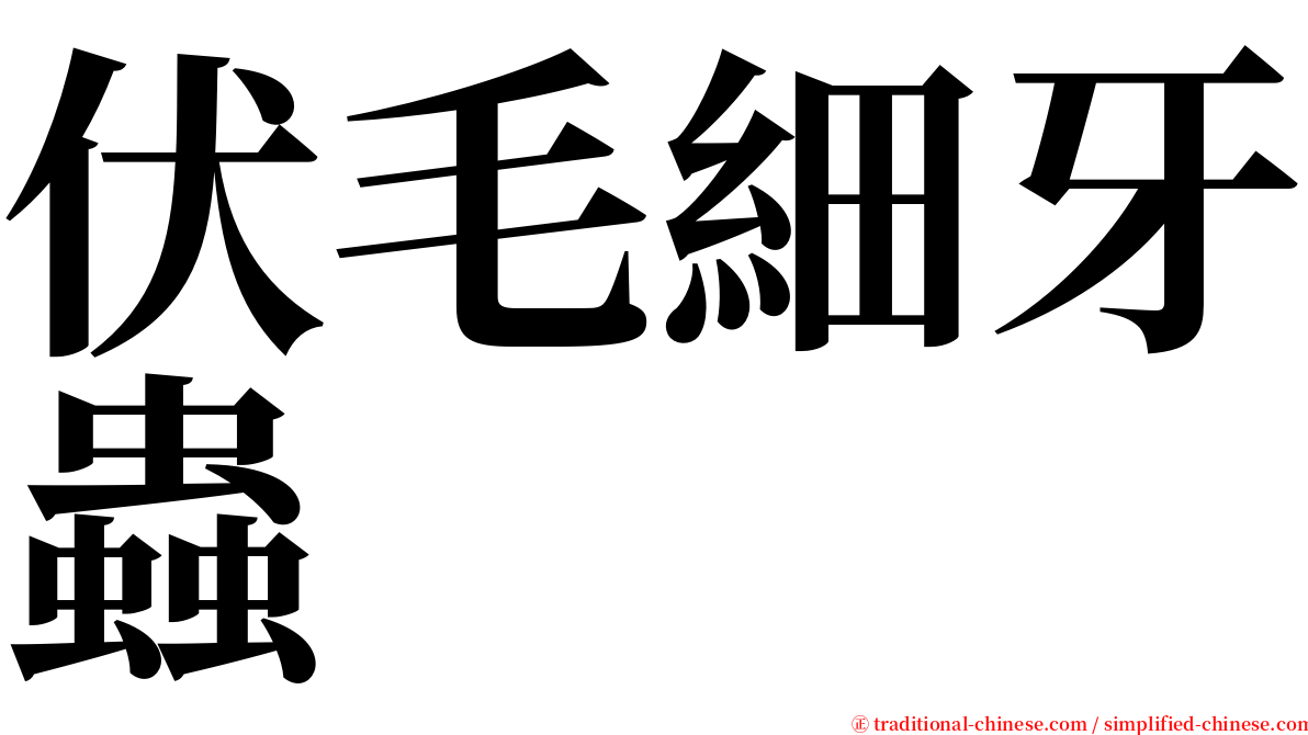 伏毛細牙蟲 serif font