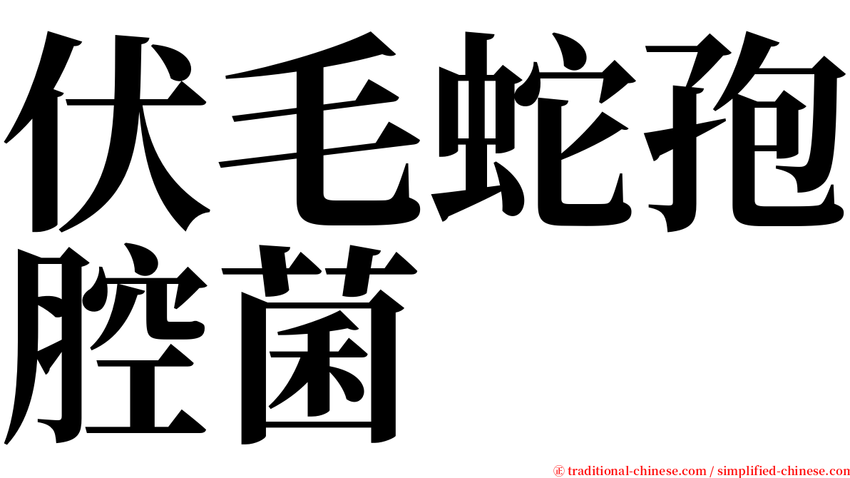 伏毛蛇孢腔菌 serif font