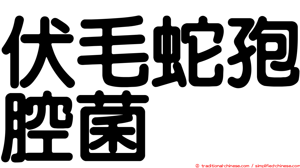 伏毛蛇孢腔菌