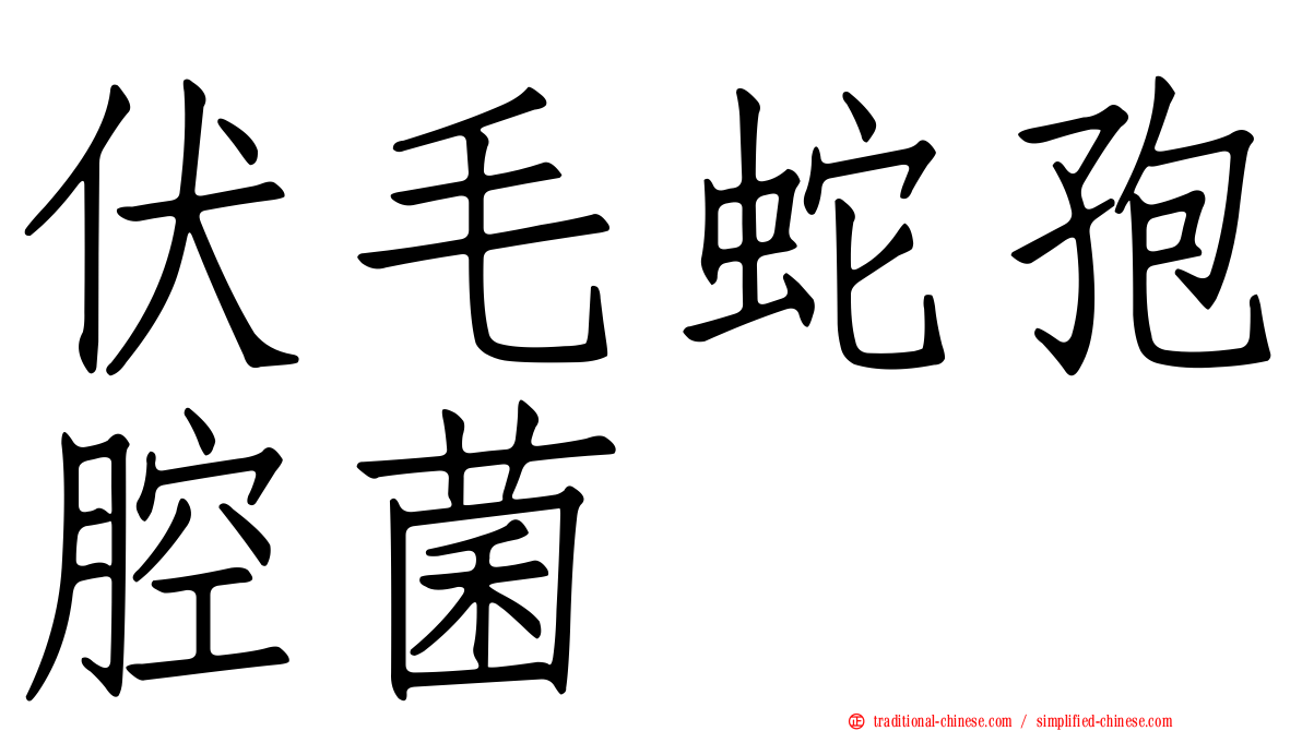 伏毛蛇孢腔菌