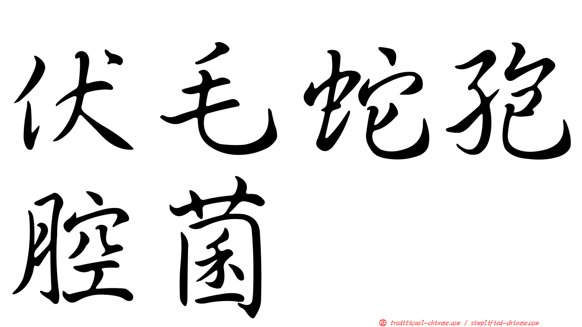 伏毛蛇孢腔菌
