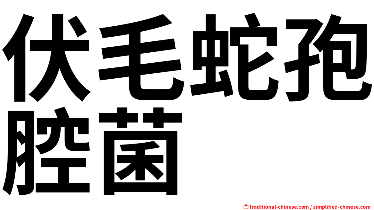 伏毛蛇孢腔菌