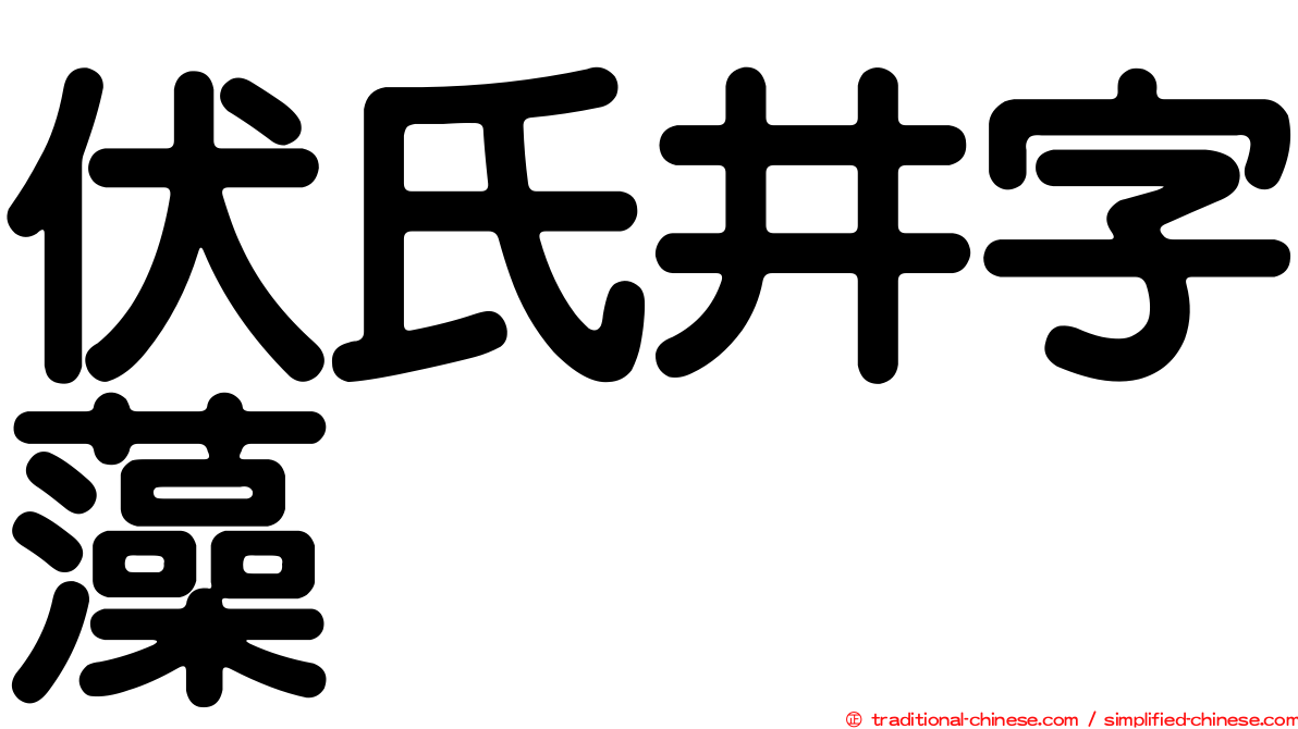 伏氏井字藻