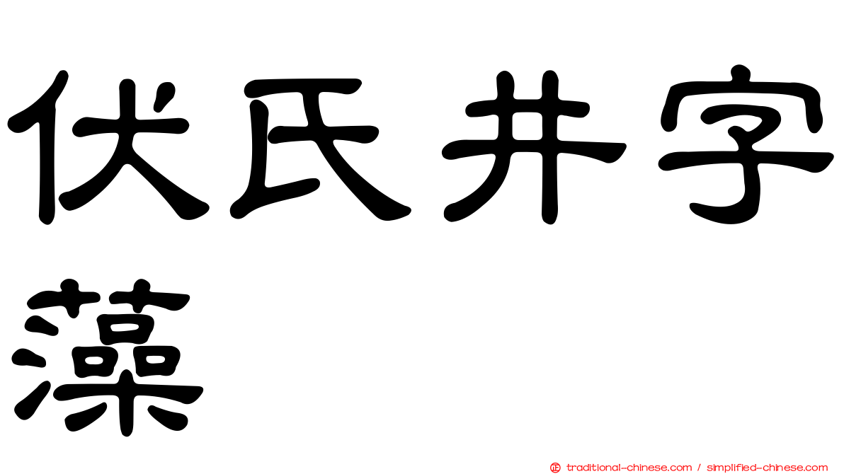 伏氏井字藻