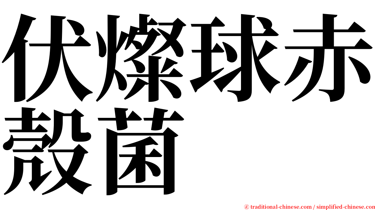 伏燦球赤殼菌 serif font