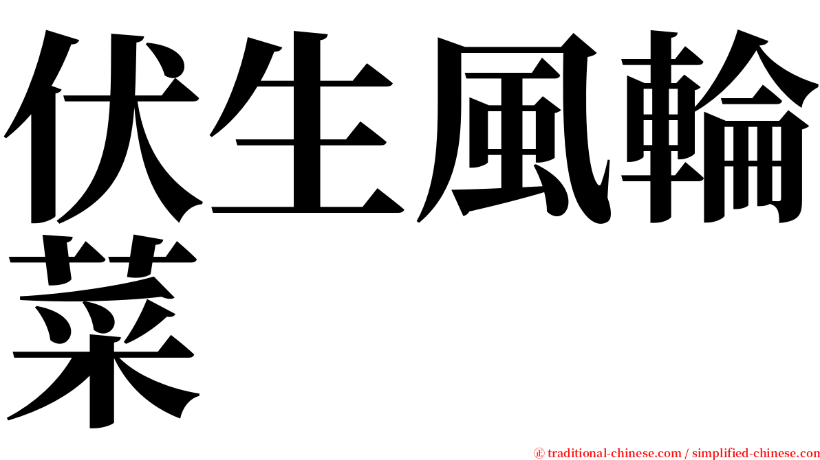 伏生風輪菜 serif font