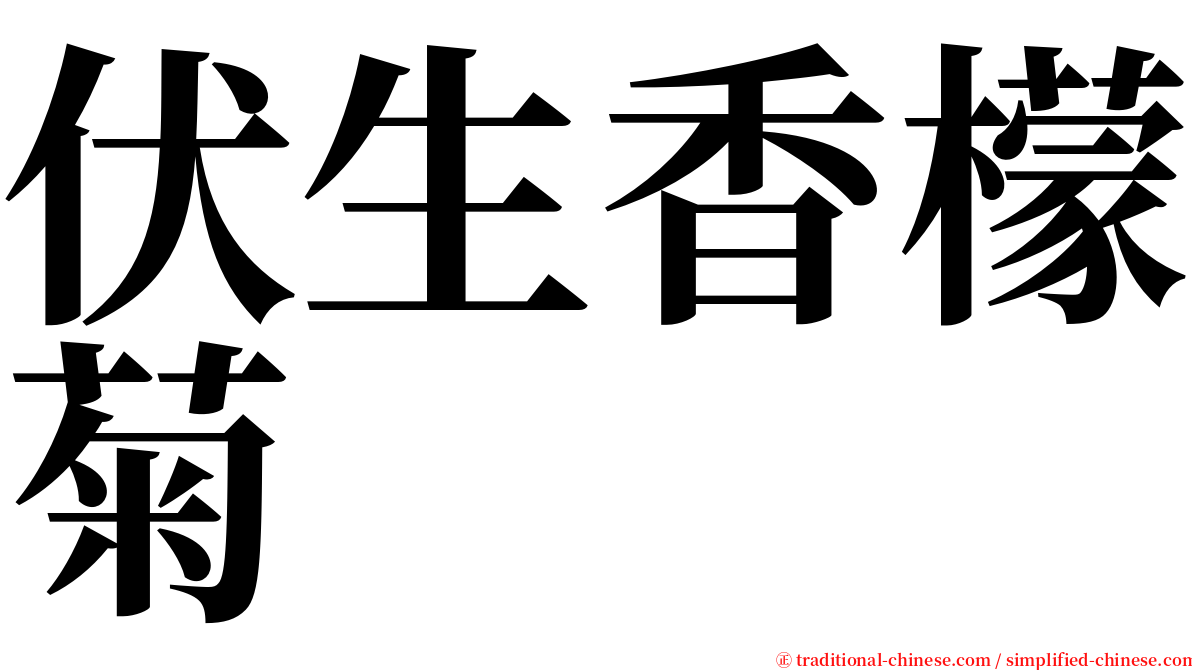 伏生香檬菊 serif font