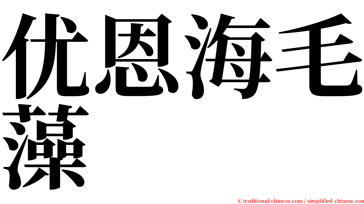 优恩海毛藻 serif font