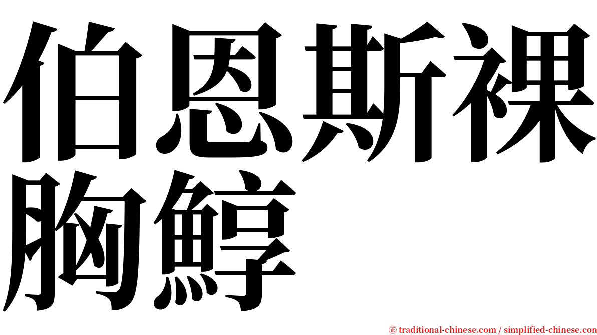 伯恩斯裸胸鯙 serif font